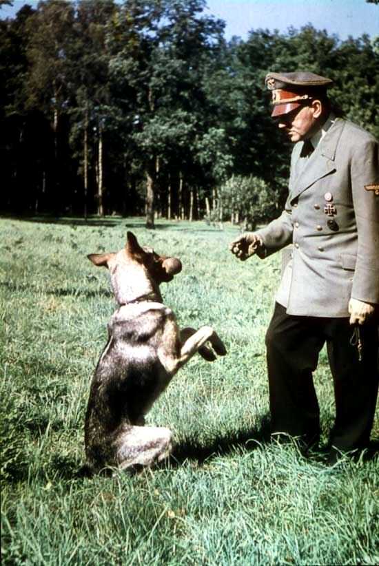 Color_picture Hitler with his dog Blondi Color_picture Hitler with his dog Blondi