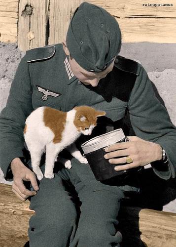 Wehrmacht Soldier Feeding a Cat - 1941